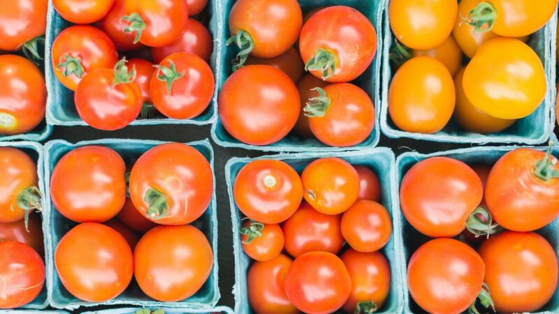 Pomodoro “insalataro”, functional food e base per nuova “salsa madre”