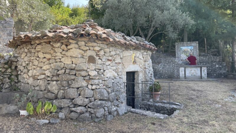 Diversificazione attività agricola, bando da 11,3 milioni di euro