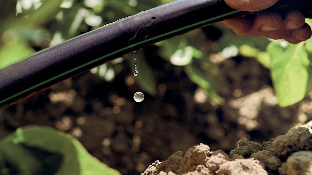 In Marocco un milione di ettari irrigati a goccia entro il 2030