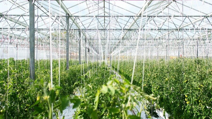 Frutech