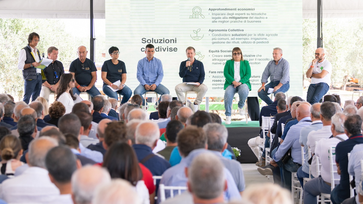 Valle del Belìce, il primo Club degli agricoltori con focus l’olivicoltura