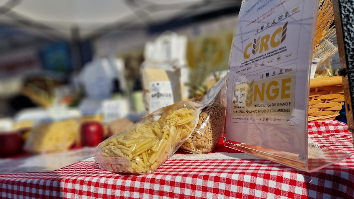 Progetto Sfinge, convegno su grano duro e pseudocereali