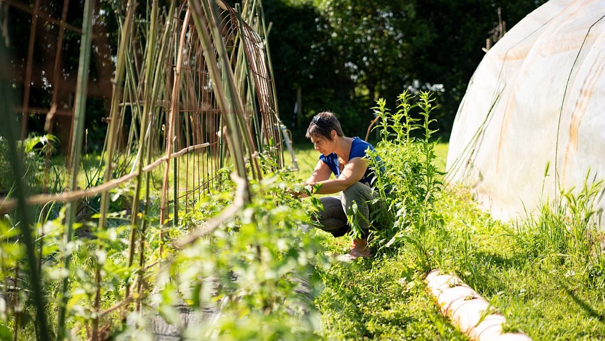 Orti Slow Food: educare alla sostenibilità attraverso la natura
