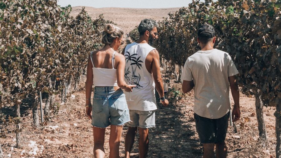 enoturismo