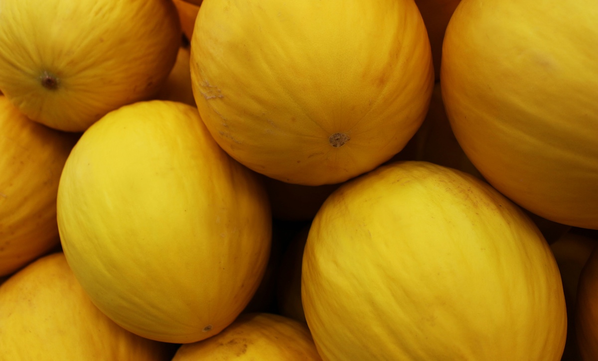 Melone giallo del Trapanese verso l’Igp: nasce comitato promotore