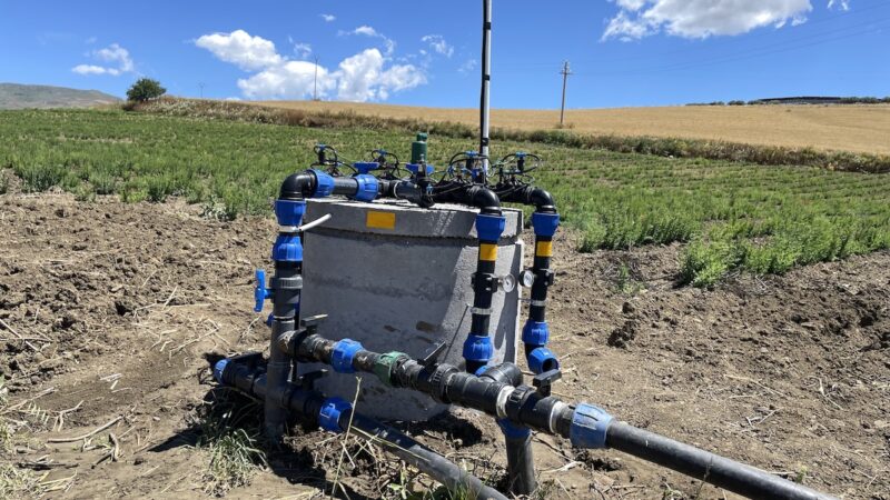 Siccità: l’appello di Confagricoltura, “Servono più acqua e gasolio”