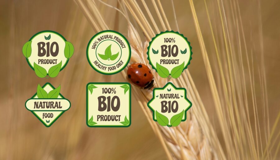 coccinella su spiga e marchio bio