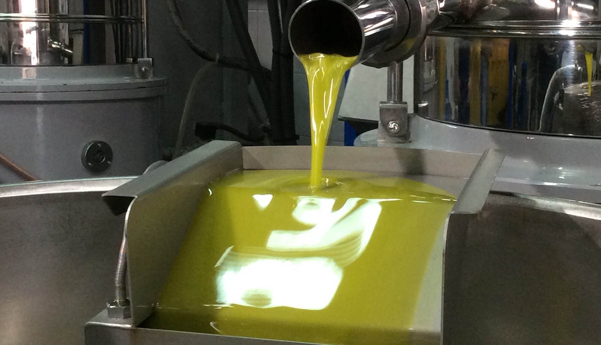 Olio Dop Monti Iblei: qualità e passione che dura da 25 anni