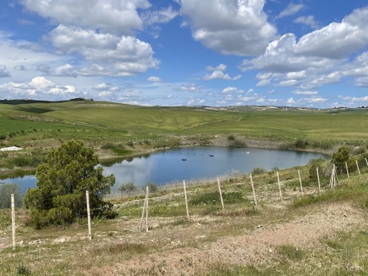 Laghetti aziendali, dalla Regione nuovi fondi: 4,6 milioni dal Poc