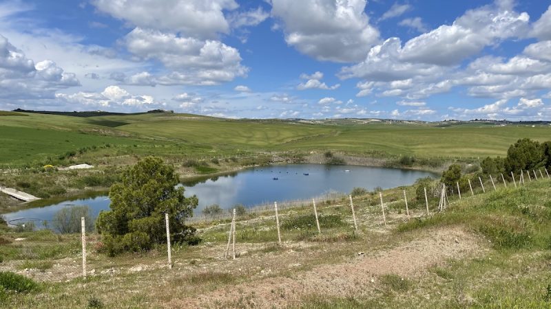 Laghetti aziendali, dalla Regione nuovi fondi: 4,6 milioni dal Poc