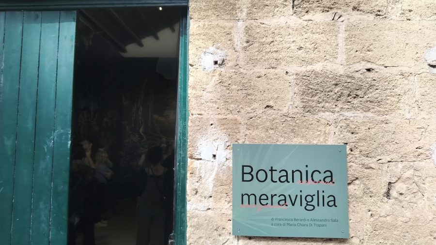 Botanica meraviglia
