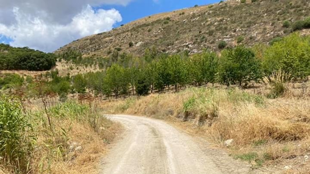 Strade extraurbane, da Esa finanziamento di 5 milioni di euro
