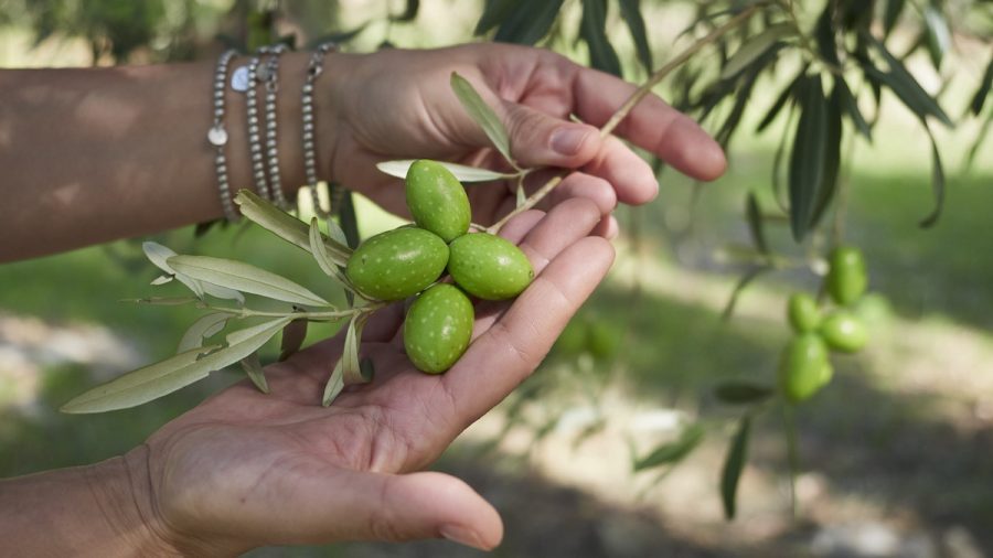 nuovi presidi Slow Food