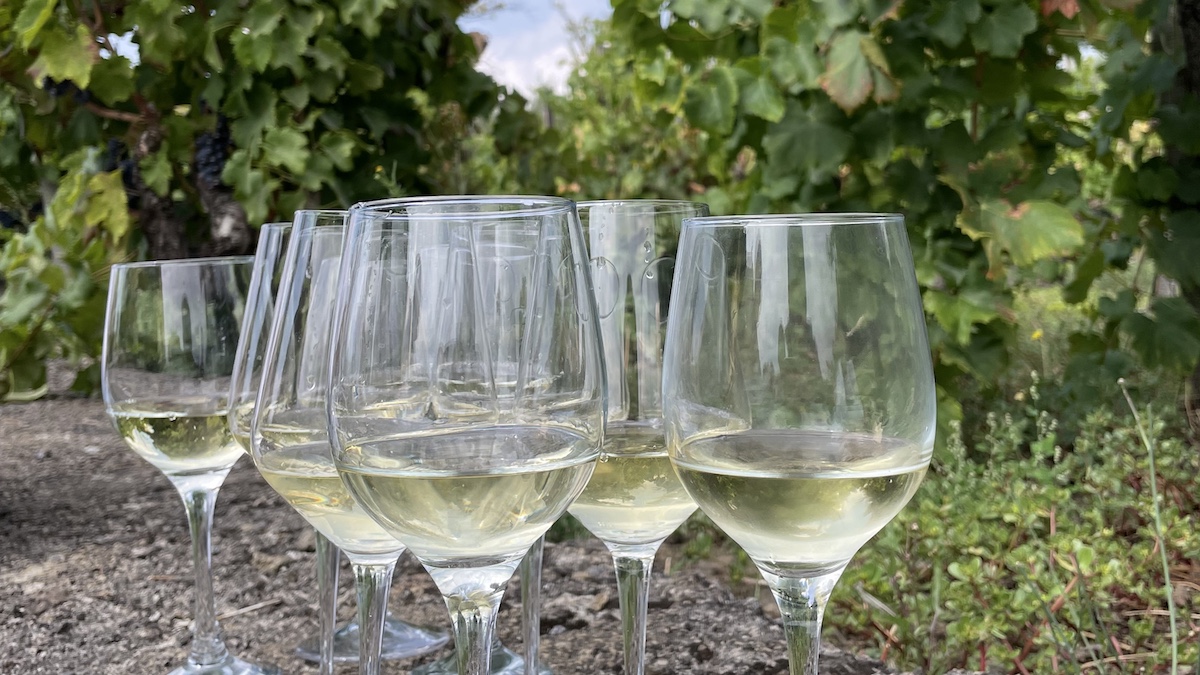 UniCredit-Nomisma: enoturismo nuovo motore della Sicilia del vino