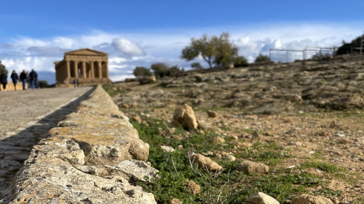Valle dei Templi, Biodistretto ai Comuni: stop ai diserbanti chimici