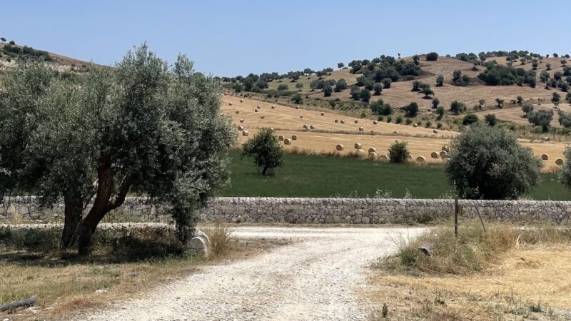 Spesa Pac, Sicilia quarta in Italia. E sul bando SRD01 non si torna indietro