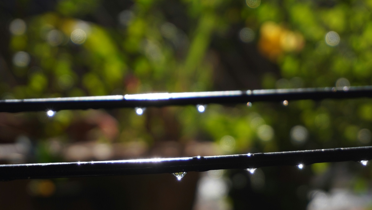 AgruMind, l’IA che fa risparmiare acqua negli agrumeti