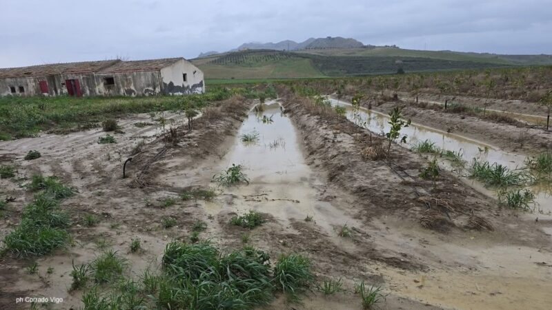 Ciclone Harry & c., due giorni di proroga per le domande di aiuto delle aziende agricole