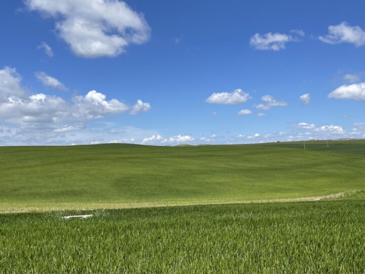 Banca delle Terre Agricole, nona edizione al via. In Sicilia il 27% delle superfici disponibili