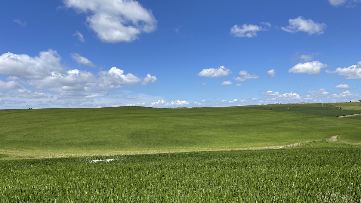 Banca delle Terre Agricole, nona edizione al via. In Sicilia il 27% delle superfici disponibili
