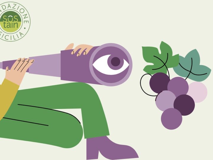 Vino siciliano, la sostenibilità non può più aspettare
